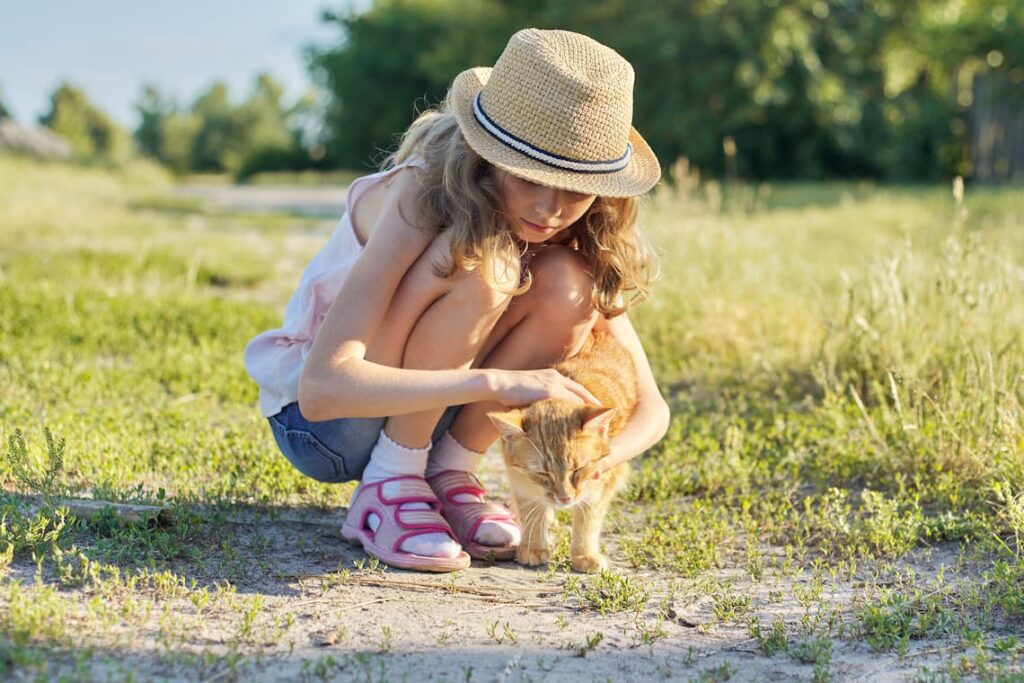 Criança índigo brincando com gato